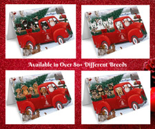 Red Truck Express Delivery