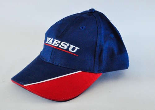 Yaesu system fusion - system,