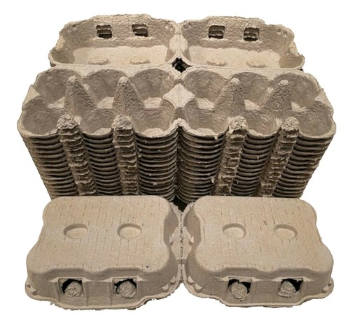 Dozen 2 x 6 fresh - 1/2,