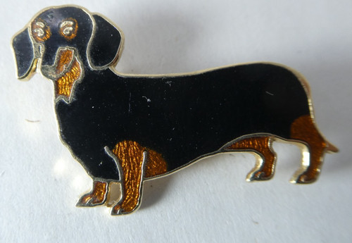 Dachshund dog brooch black tan - dog,