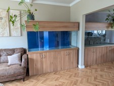 Marine Aquarium, Approx 900 Litres Inc Sump