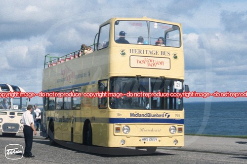 Bus photo midland bluebird - bus,