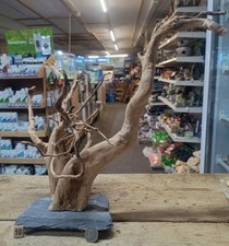 Red moor wood root slate - red, on