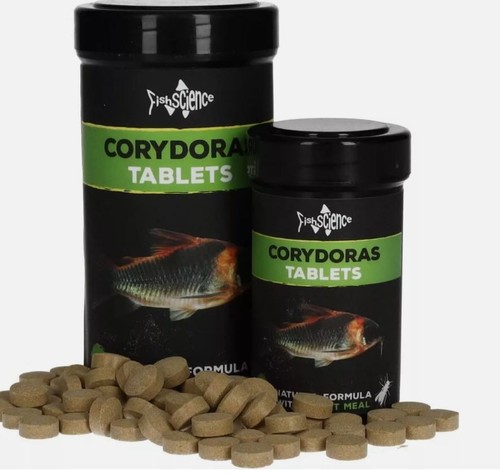 Catfish corydoras tablets - catfish,