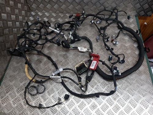 Ford focus mk4 engine wiring - ford,