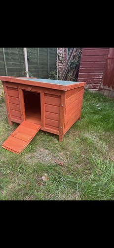 Small animal house rabbit - animal,