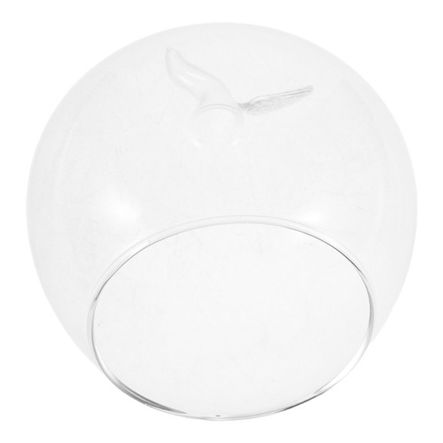 Reusable glass cloche dome - cloche,