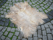 Angora Goat Leather Goatskin