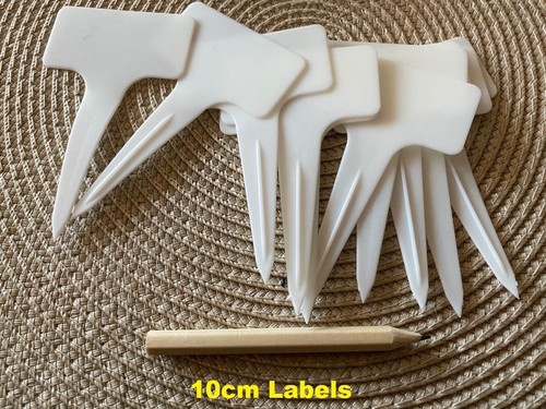 Plastic plant labels garden - labels,