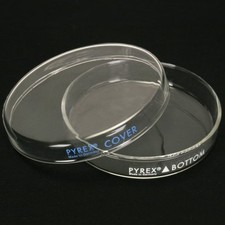 Pyrex, Petri Culture Dish, 100