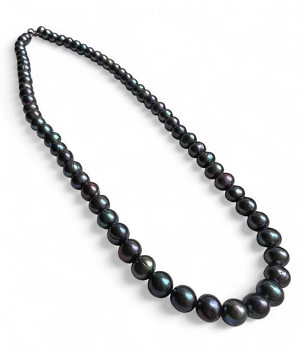 Genuine black freshwater - 16”,
