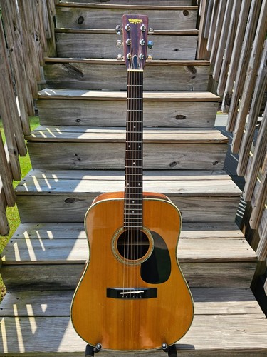 Vintage washburn 300 - washburn, w-300