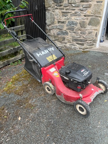 Harry petrol lawnmower 5hp - harry,