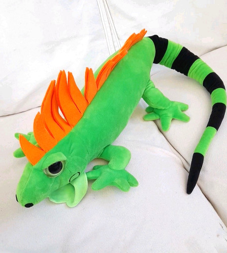 Large iguana lizard nature - large,