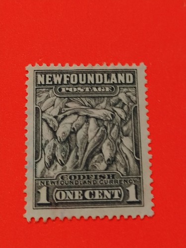 Newfoundland 184codfish - newfoundland, ,#184codfish