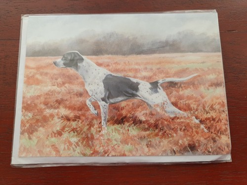 English pointer greetings - greetings, card
