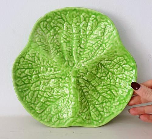 Cabbage leaf crown devon - cabbage,