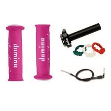 Yamaha FZS1000 Fazer Domino