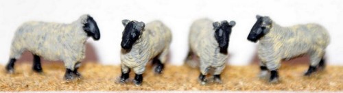Standing sheep f58p - 4, painted