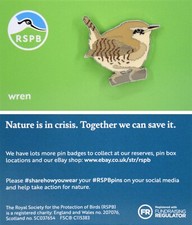 RSPB Pin Badge NIIC Wren P02979