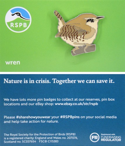 Rspb pin badge - rspb,