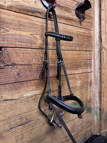 Guc black dressage - guc, vespucci