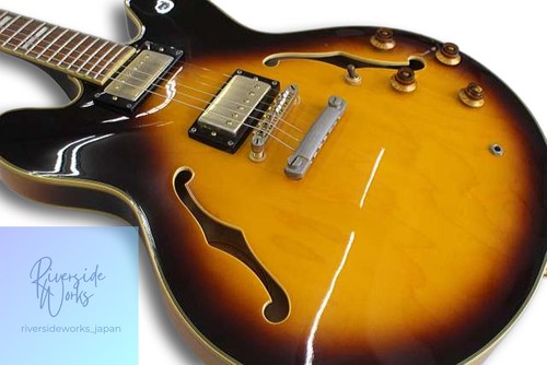 Epiphone hollow body sheraton2 - hollow,
