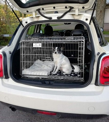 Pet world mini one - pet,
