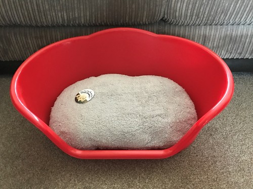 Large red plastic pet bed - red,