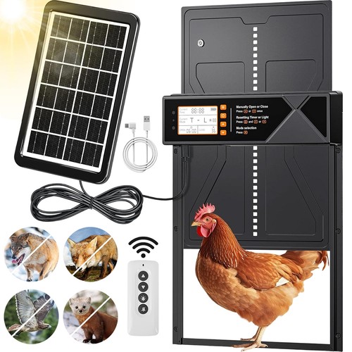 Automatic chicken coop door - chicken,