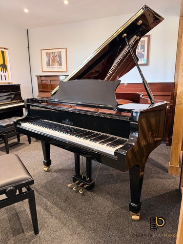 Brodmann bg162 baby grand - brodmann,