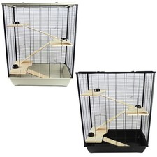 Rat Hamster Pet Animal Large