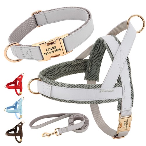 Personalised dog harness - personalised,