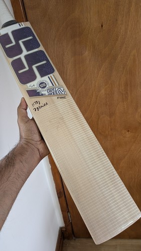 Sky fire cricket - cricket, bat