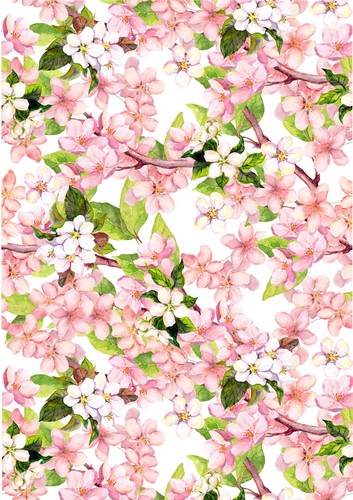 Pink cherry blossom flowers - blossom,