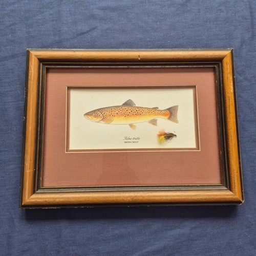 Framed fish fishing fly - framed,