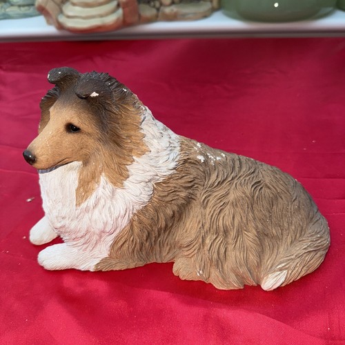 Collie dog sandicast - dog,