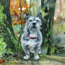 Terrier Follow Me! Little Dog