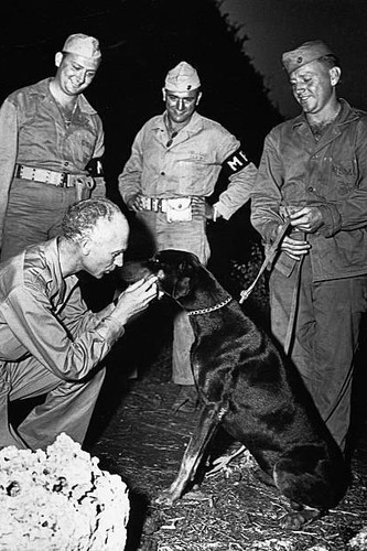 Ernie pyle pets - pets, doberman