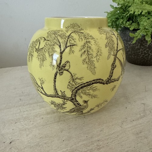 Twinings tea jar - twinings,