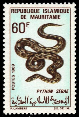 Mauritania 264 african - mauritania,