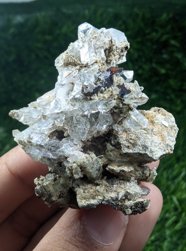 Brookite with quartz - quartz, cluster