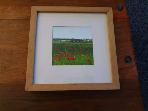 Poppy field northumberland - poppy,