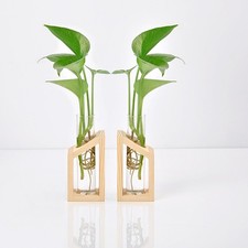 Test Tube Flower Vase on