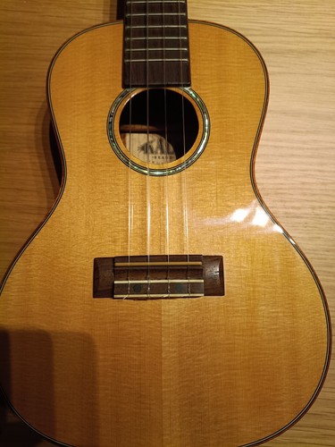 Kala fmc spalted maple - fmc,