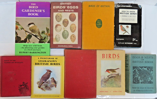 Vintage lot ornithology - 9,