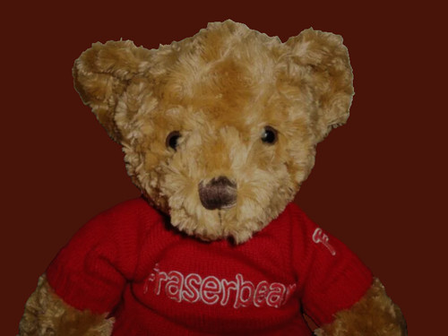 Brown teddy bear red - (16"),,