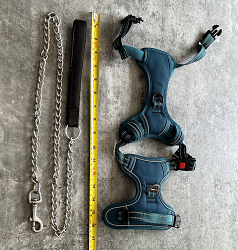 Halti adjustable reflective - halti,