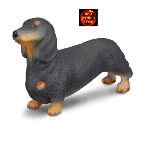 Dachshund sausage dog - dachshund, toy