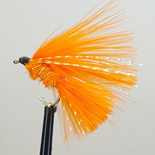 Orange cats whisker - orange,